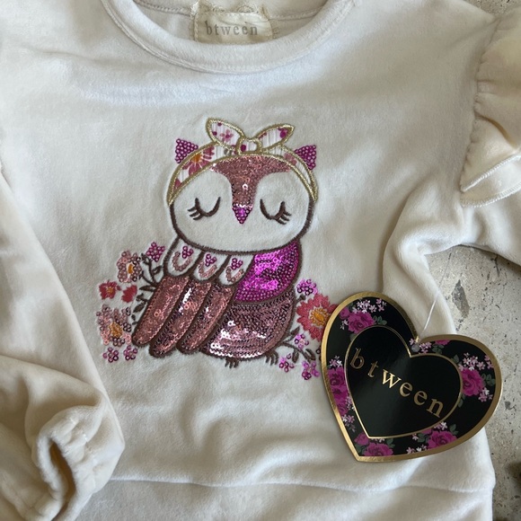 Gilt’s Size 2T 4- Shirt Bundle Healthtex, Carter’s, BTWEEN - Picture 2 of 6